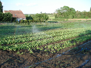 Calendrier de production