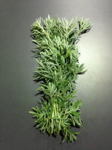 &nbsp;En cuisine : &nbsp;Elle accompagne les viandes grasses, le porc ou le canard. L'absinthe romaine est appr&eacute;ci&eacute;e en infusion ou... 