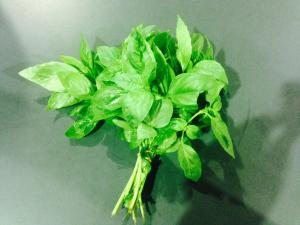 En cuisine&nbsp;: Le basilic grand vert accompagne les plats &agrave; base de tomates, les l&eacute;gumes d'&eacute;t&eacute;, comme les courgettes... 