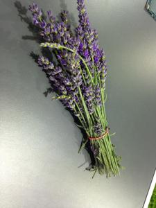 En cuisine : Les fleurs sont parfois utilis&eacute;es en cuisine, notamment en p&acirc;tisserie, pour aromatiser des sorbets ou des g&acirc;teaux. Ajoutez... 