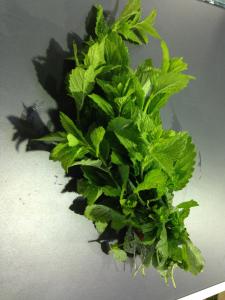 En cuisine : Partout o&ugrave; l&rsquo;on souhaite ajouter une saveur citronn&eacute;e, la m&eacute;lisse est la bienvenue. Elle accompagne id&eacute;alement... 