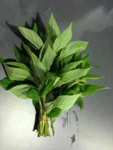 En cuisine : Les feuilles peuvent s&rsquo;employer avec des plats exotiques, pour accompagner le porc, le canard, le veau et les m&eacute;langes sucr&eacute;s... 