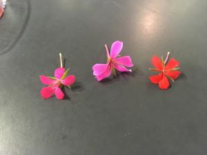 Les fleurs ont un go&ucirc;t fruit&eacute; tr&egrave;s agr&eacute;able, (pomme, de rose -g&eacute;ranium rosat-, de poivre, de noisette&hellip; ).Les... 