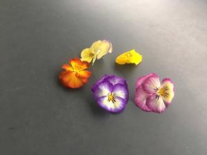 Fleurs aux multiples coloris qui s&rsquo;utilisent en d&eacute;coration, dans les salades ou autres plats.
