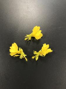 Les fleurs se consomment de multiple fa&ccedil;on : en salade, avec du poisson, en beurre aromatis&eacute;es, en beignets...
