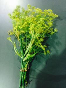 Les fleurs jaunes de fenouil sont un&nbsp;r&eacute;gal pour les yeux&nbsp;avec une saveur subtile de r&eacute;glisse, un peu comme la plante&nbsp;elle-m&ecirc;me.
 [......]