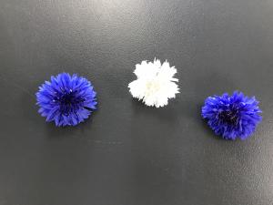 Quelques pinc&eacute;es viendront agr&eacute;menter vos salades vertes.

Pour les plats chauds : Avant la cuisson du plat, saupoudrez sur vos r&ocirc;tis,... 